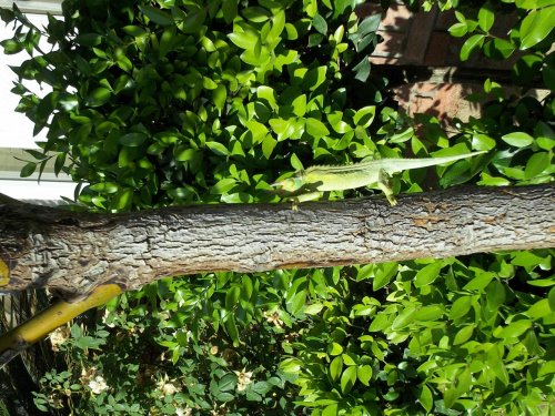 100_0179.jpg