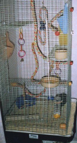 wire cage.jpg