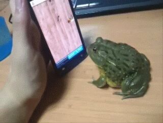uploadfromtaptalk1339112795846.jpg