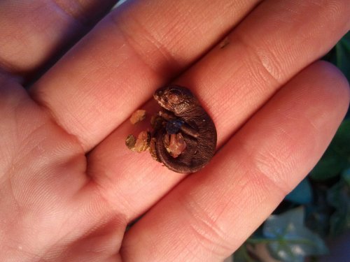 2012-06-09 12.48.12.jpg