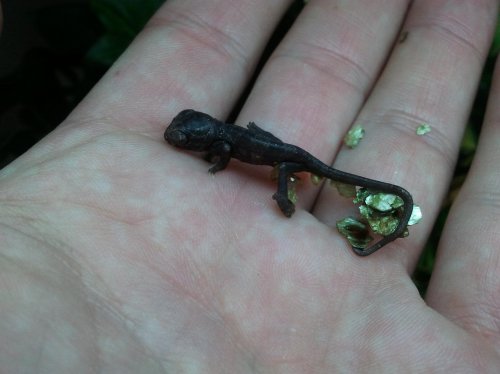 2012-06-09 12.51.10.jpg