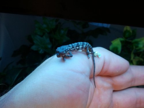 2012-06-09 12.52.28.jpg