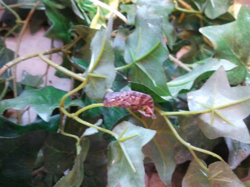 2012-06-09 12.54.49.jpg