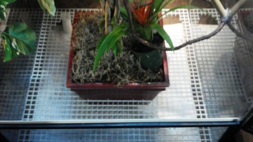 2012-06-09_15-42-31_322.jpg