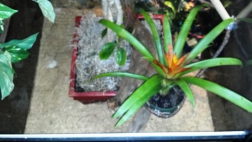2012-06-09_15-57-29_408.jpg