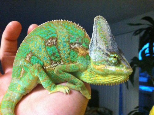 photo (8).jpg