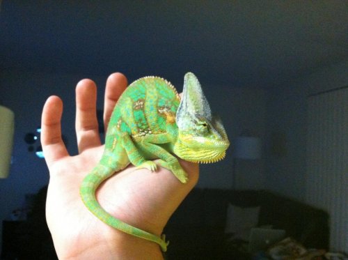 photo (10).jpg