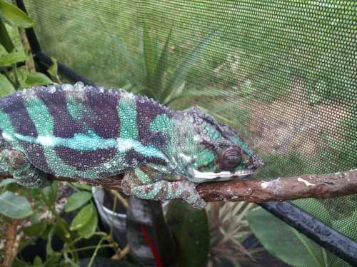 2012-06-10 19.03.30.jpg