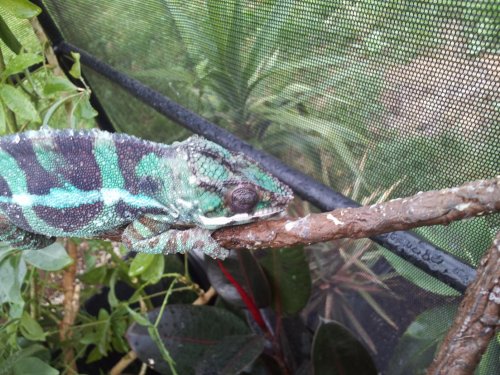 2012-06-10 19.03.23.jpg