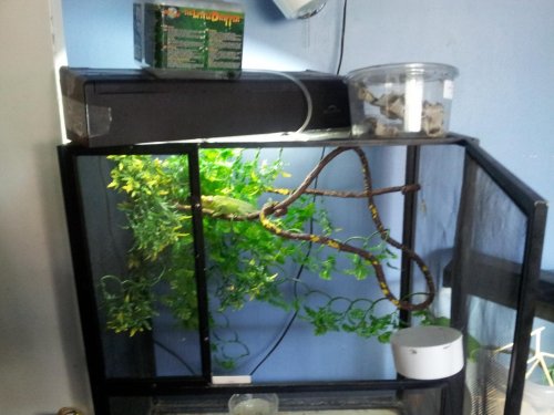 20120611_154441.jpg
