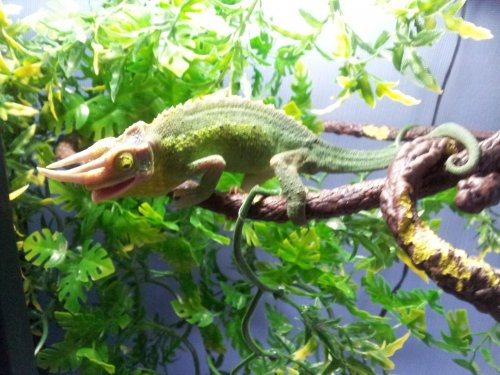 20120611_154528.jpg