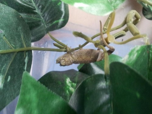 20120611_154557.jpg