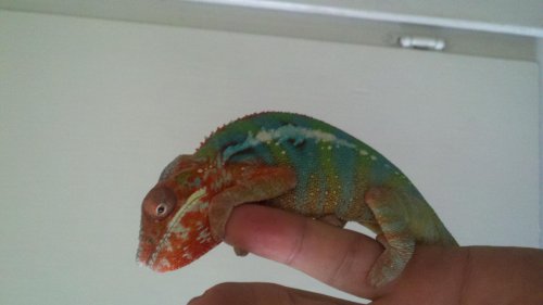 2012-06-12_16-15-14_632.jpg