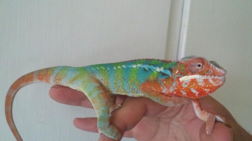 2012-06-12_16-16-25_452.jpg