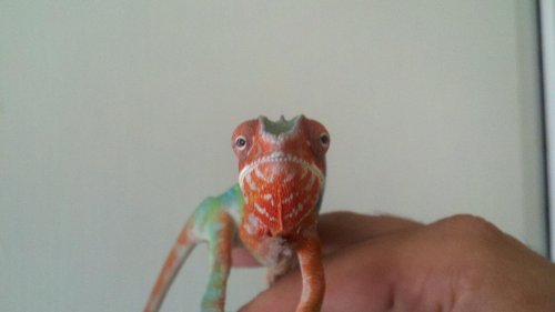 2012-06-12_16-17-24_583.jpg