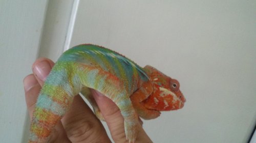 2012-06-12_16-17-56_610.jpg