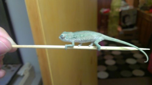 IMAG0007.jpg