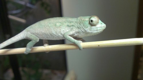 IMAG0011.jpg