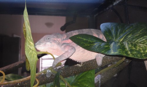 IMAG0146.jpg