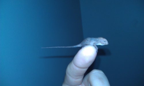 baby 3.jpg