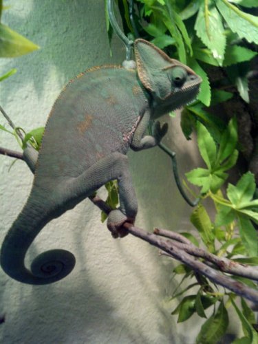 Avd3-J_CQAE6_9V.jpg large.jpg