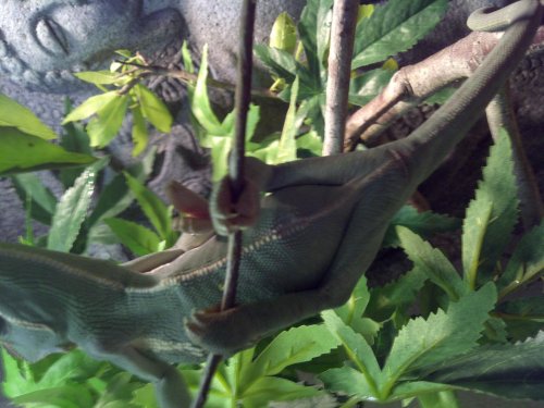 South Brazos-20120615-00062.jpg