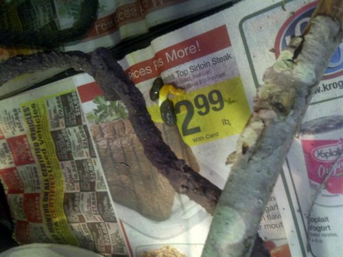 South Brazos-20120616-00064.jpg