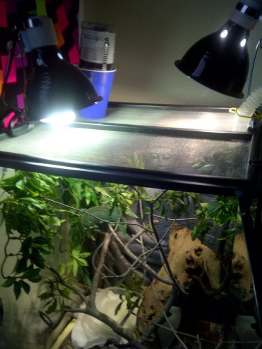 South Brazos-20120616-00067.jpg