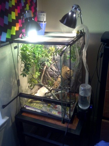 South Brazos-20120616-00066.jpg