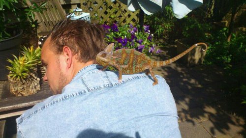 catching the sun 2.jpg