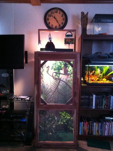 Gizmo's cage4.jpg