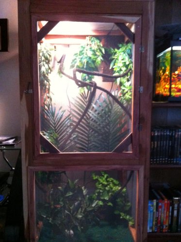 Gizmo's cage3.jpg