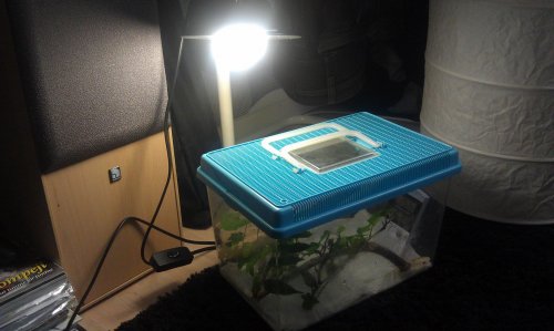 IMAG0143.jpg