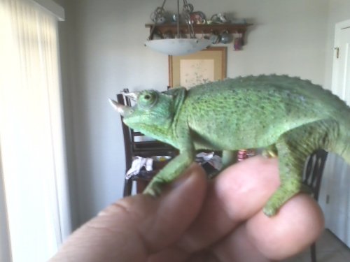 new pic jack.jpg
