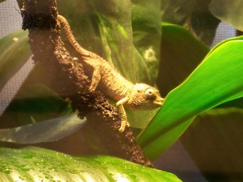 20120619_143849.jpg