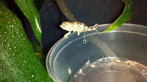 2012-06-22_07-33-47_374.jpg