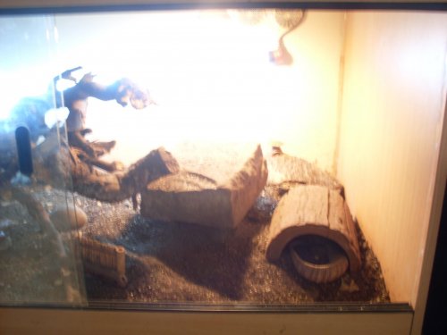 monitor viv 001.jpg