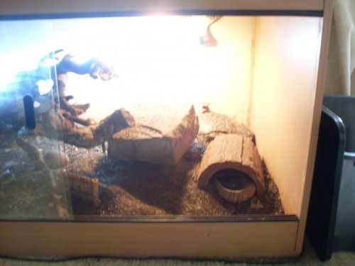 monitor viv 002.jpg