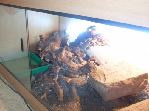 monitor viv 004.jpg