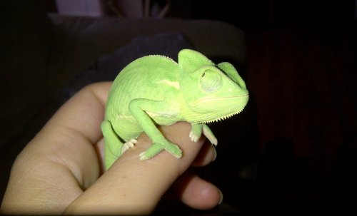 oops, flash still on.jpg