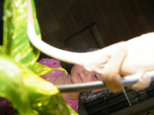 new photos cham 021.jpg