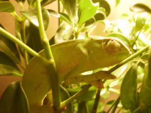 2012 103.JPG