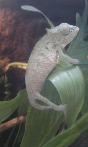 IMAG0573.jpg
