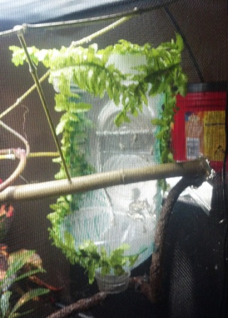 2012-06-27_09-23-04_616.jpg