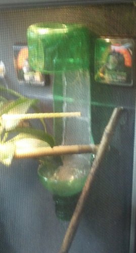 2012-06-27_09-23-13_676.jpg