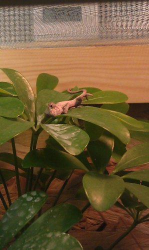 IMAG0146.jpg