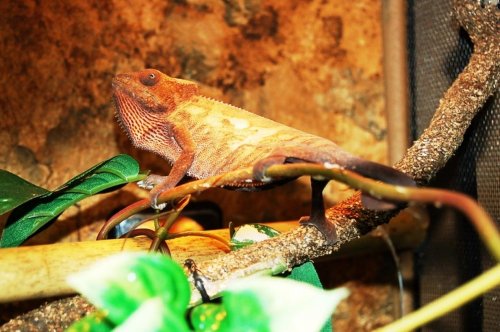 DSC_1105.jpg
