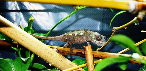 DSC_1113.jpg