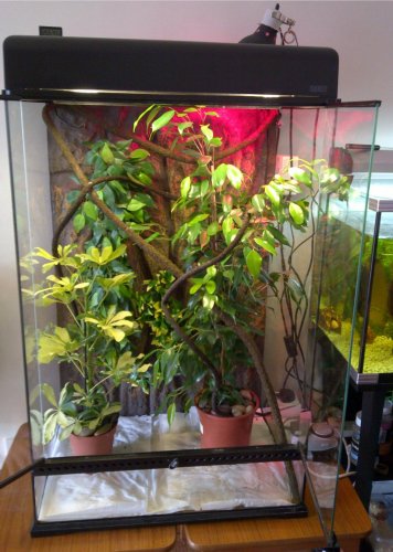 new cage.jpg