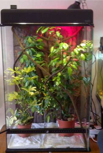 new cage 2.jpg